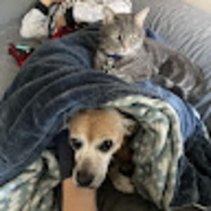 Meet your Posher, Adam